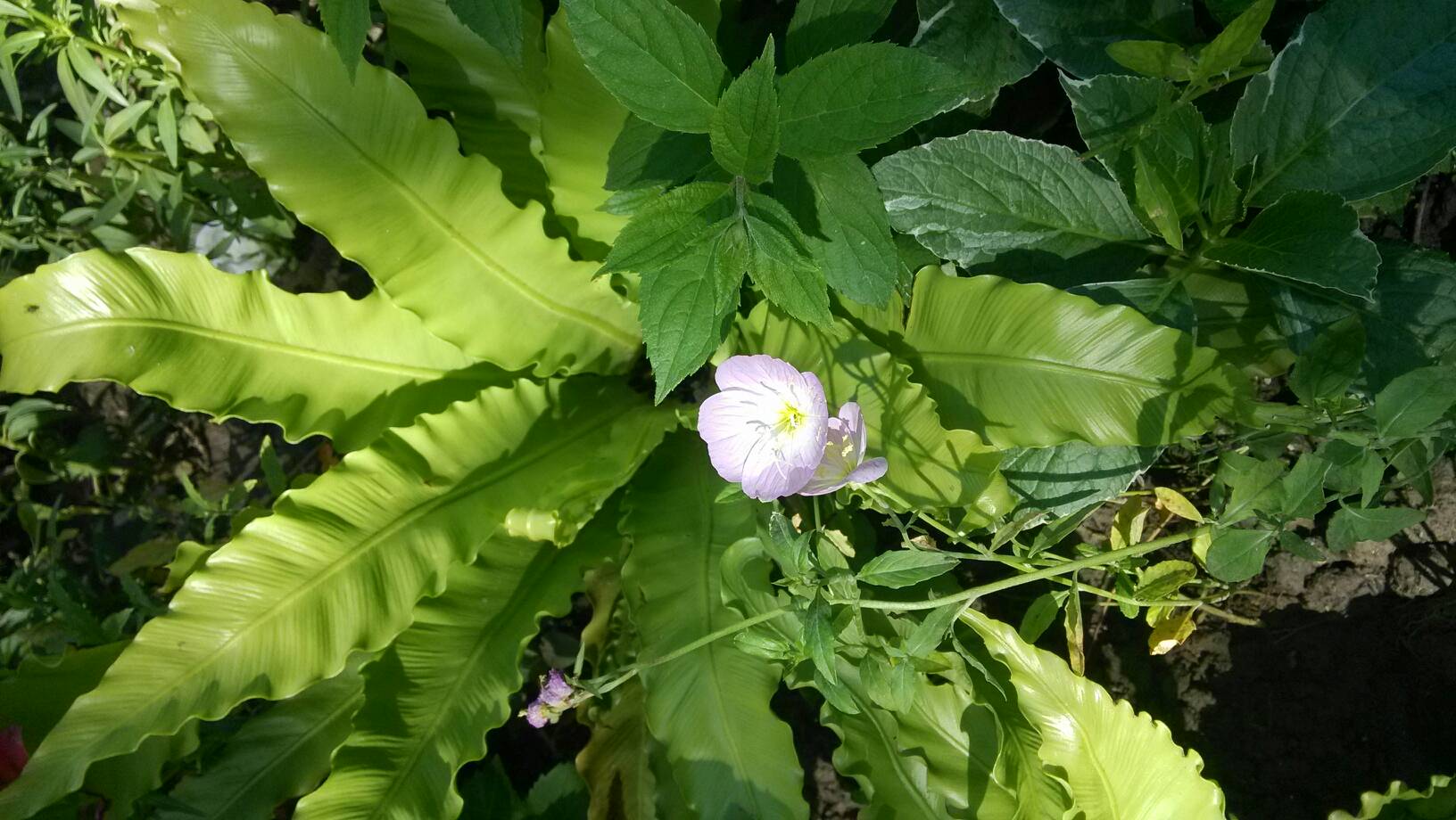 国产精品无码一区二区三级